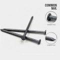 Hot Selling Common Iron Nail China Common Nails